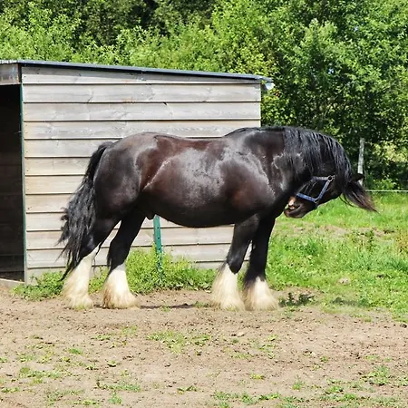 Domaine De La Chaux De Revel Séjour à la campagne