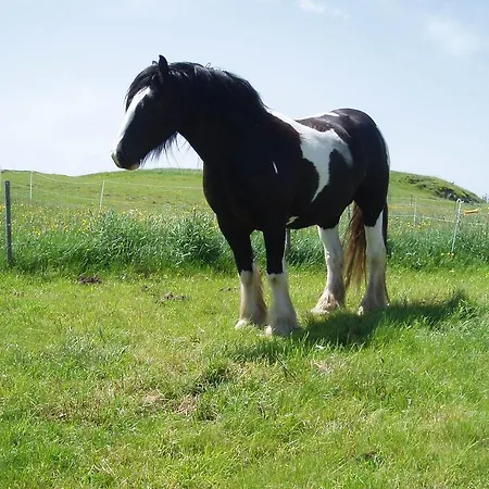 Domaine De La Chaux De Revel