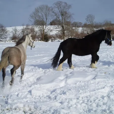 Domaine De La Chaux De Revel Séjour à la campagne *