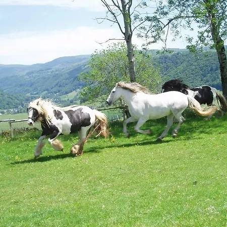 Domaine De La Chaux De Revel * Saint-Martin-Valmeroux
