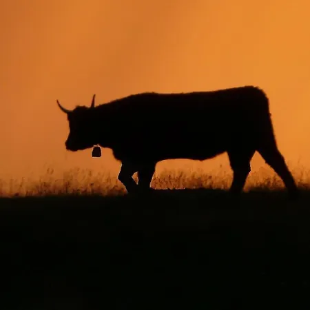 Séjour à la campagne Domaine De La Chaux De Revel *